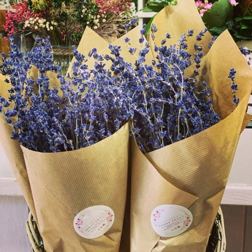 LAVANDA SECO BLUE