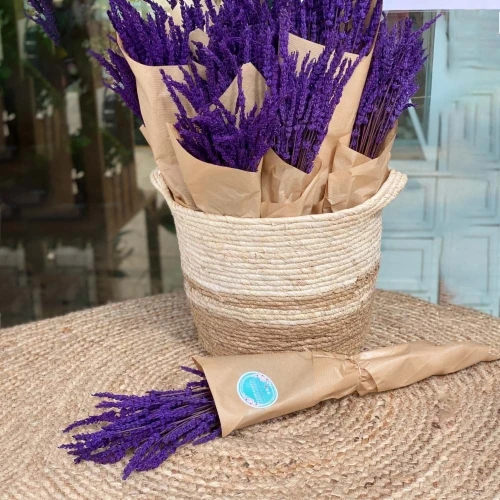 LAVANDA PRESERVADA BLUE-TOP