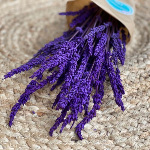 LAVANDA PRESERVADA BLUE-TOP