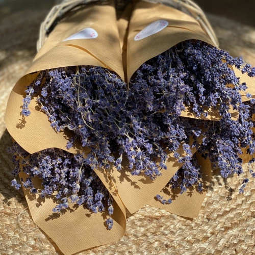 LAVANDA SECO BLUE