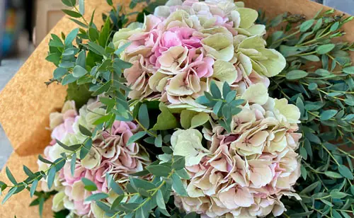 decoracion floral 2 | eventos alicante